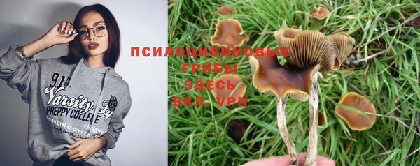 mdpv Богородск