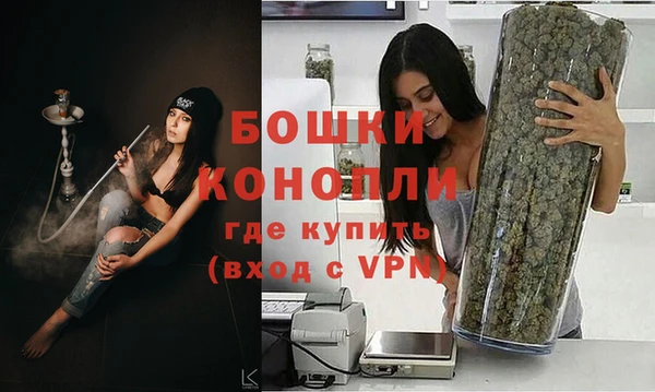 mdpv Богородск