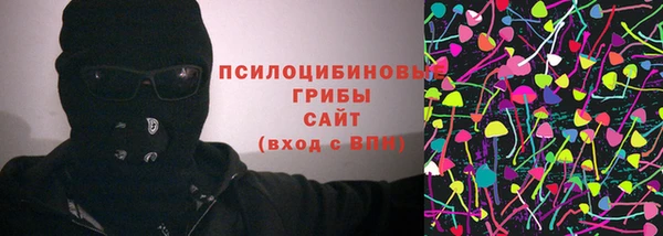 mdpv Богородск