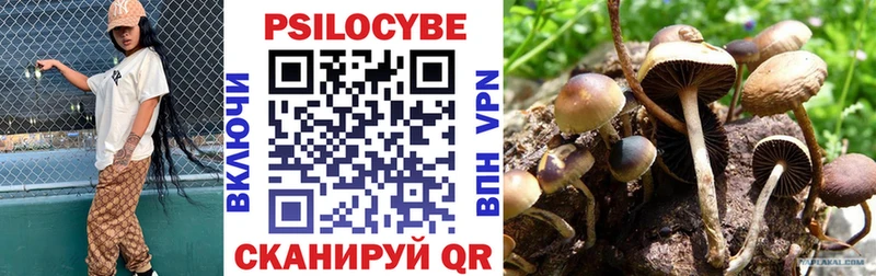МЕГА рабочий сайт  купить наркотик  Нижний Новгород  Псилоцибиновые грибы Psilocybe 
